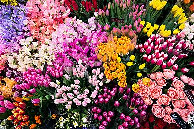 《夜族崛起》首个主要内容更新细节公开 5月上线