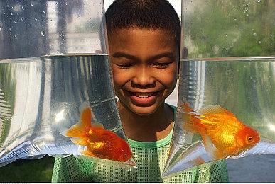 消息称Capcom对《生化危机4重制版》有所保留